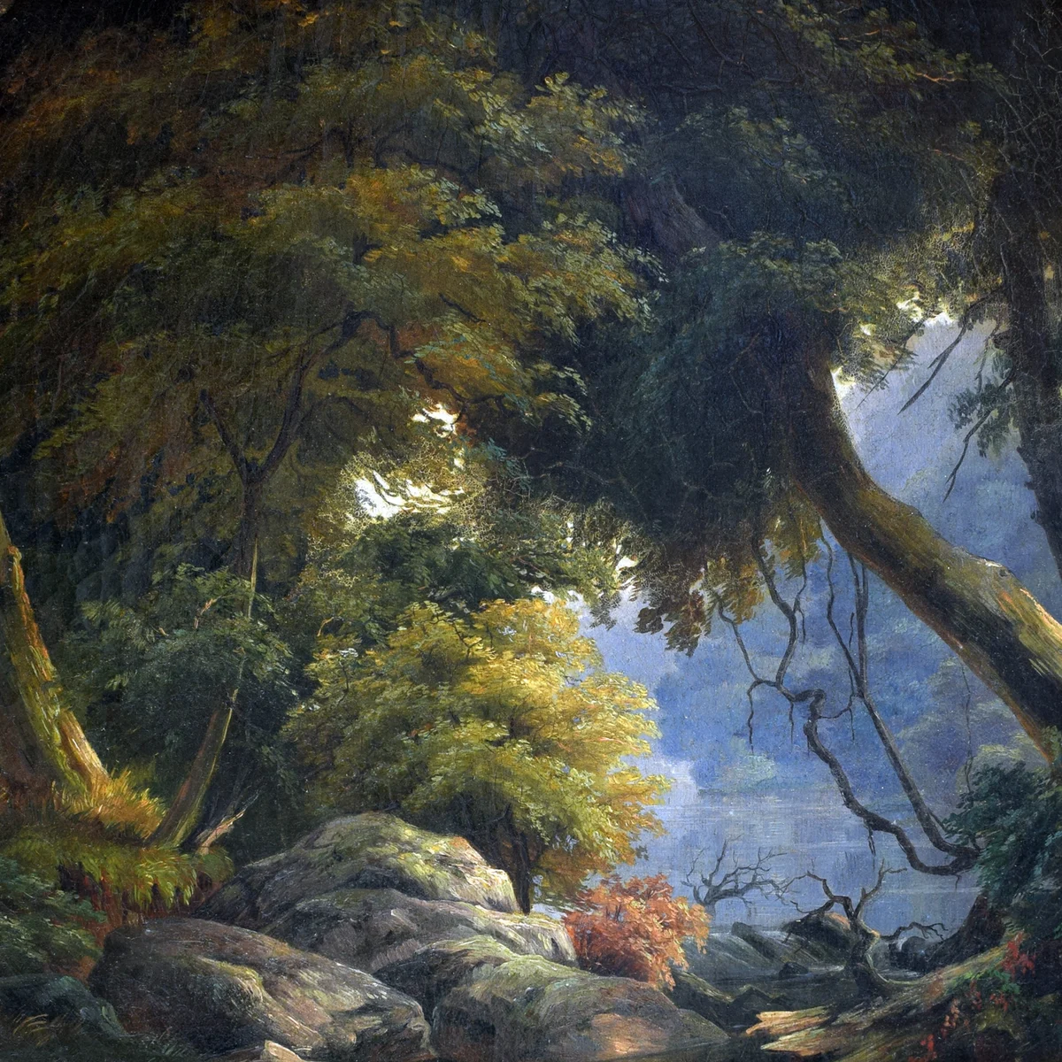 Landscape Study