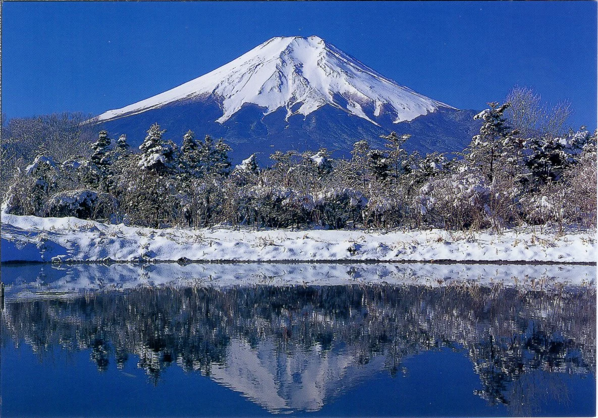 Mount Fuji and Irises